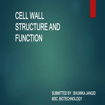 cell wall structure and function