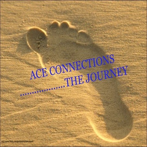 Final Ace Connections Report
