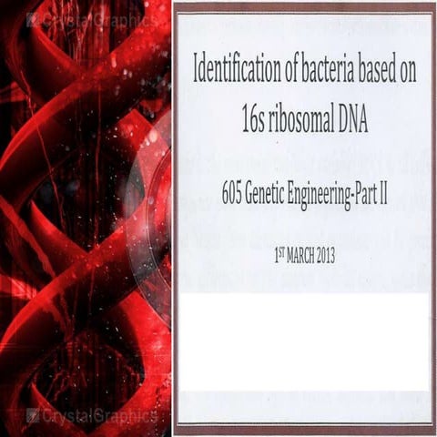 Bacterial Identification by 16s rRNA Sequencing.ppt