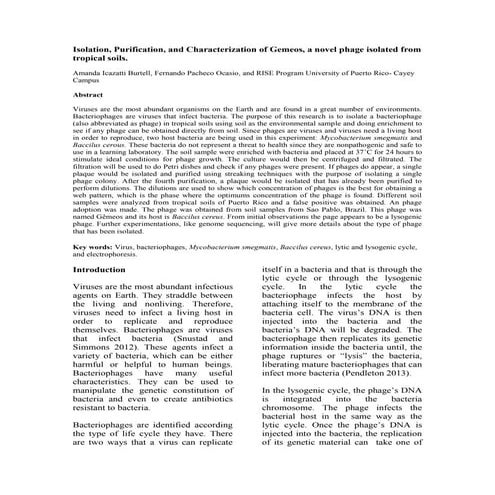 Final Bacteriophages