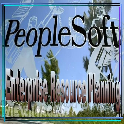Enterprise Resource Planning