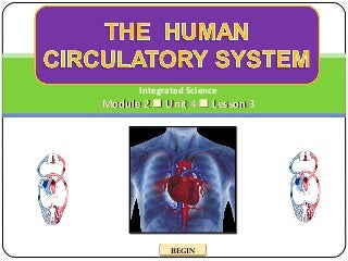'human circulatory system' on SlideShare