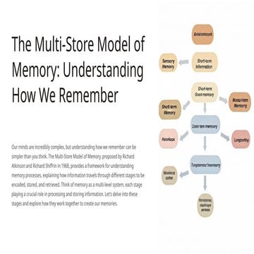FINAL-MULTI- STORE - MODEL IN PED 3.pptx