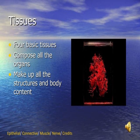 Tissues | PPT