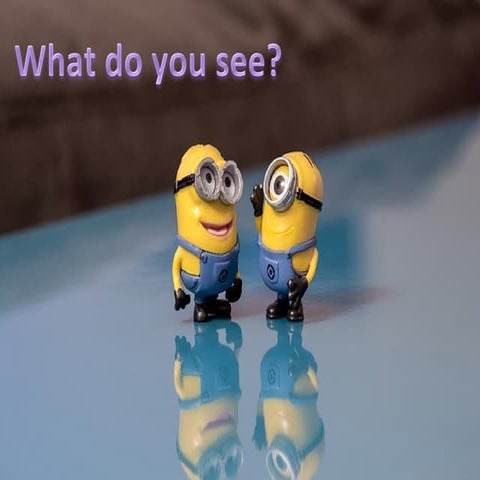 Final Reflections: Visual Communications