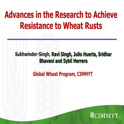 Advances in the research to achieve resistance to wheat rusts