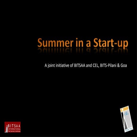 Summer In A Start Up