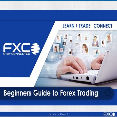 Beginners Guide to Forex Trading