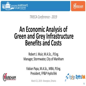 An Economic Analysis of Green and Grey Infrastructure - TRIECA Conference 2019