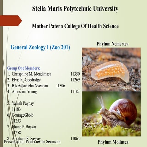 The Phylum Nemertea and Phylum Mollusca characters