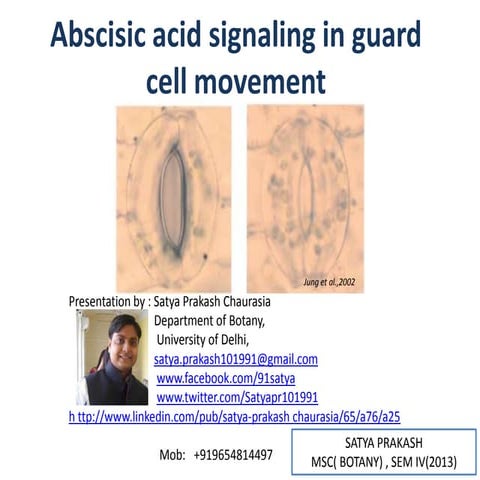  ( Dissertation) Abscisic acid signaling in guard cell movement.