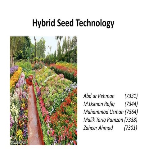 Hybrid seed technology 