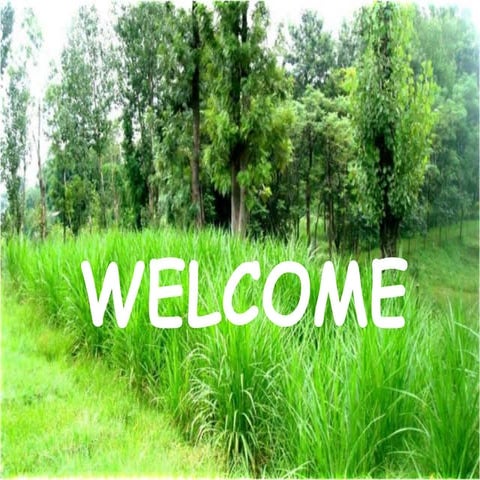 Agroforestry based forage production systems for hills