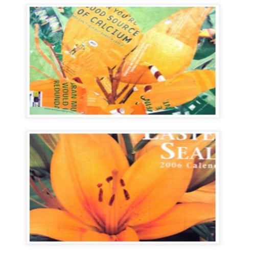 Collage Landscape Examples