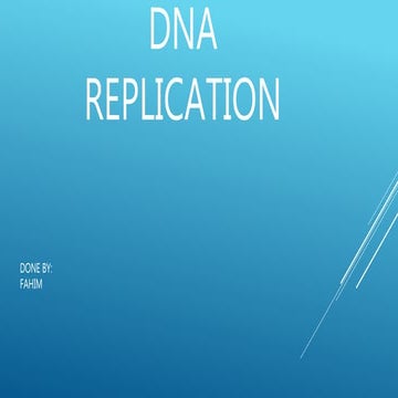 DNA Replication Process