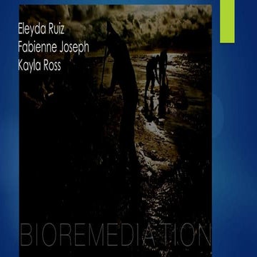 Final bioremediation