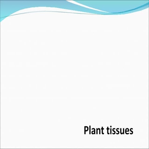 Final botany powerpoint2.1