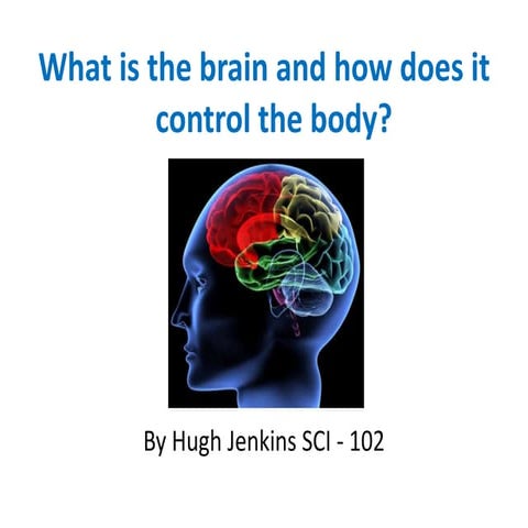 What is the brain and how does it control the body ? 