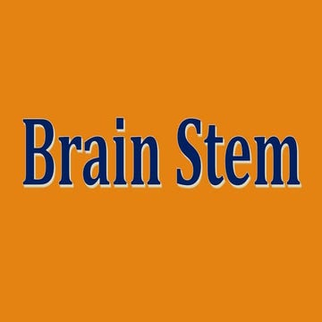 finalbrainstem-200415204651.pdf