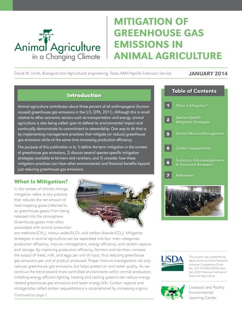 Mitigation of greenhouse gas emissions in animal agriculture