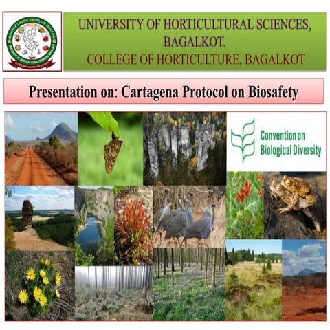 Final cartagen protocol