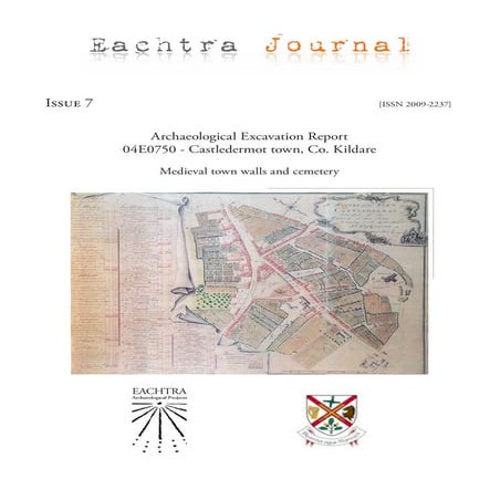 Archaeological Report - Castledermot Town, Co. Kildare (Ireland) | PDF