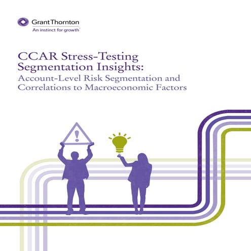 CCAR and stress-testing segmentation insights