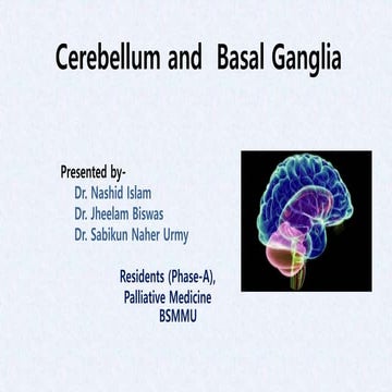 Cerebellum and basal ganglia