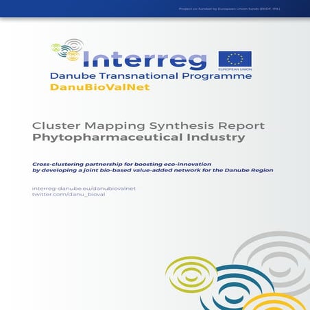 Cluster Mapping Phytopharmaceutical Industry