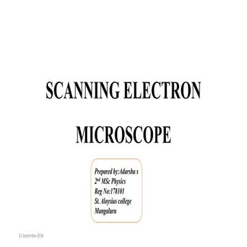 Scanning electron microscope(SEM)