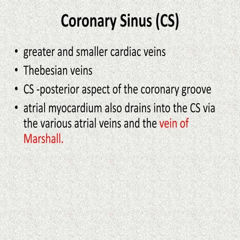 CORONARY SINUS
