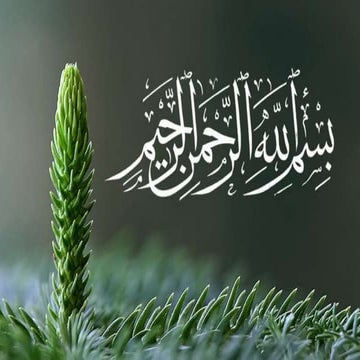 Overview of information system and its need in banks ,Online banking , Mobile...