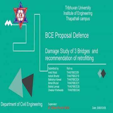 Bridge damage assessment proposal