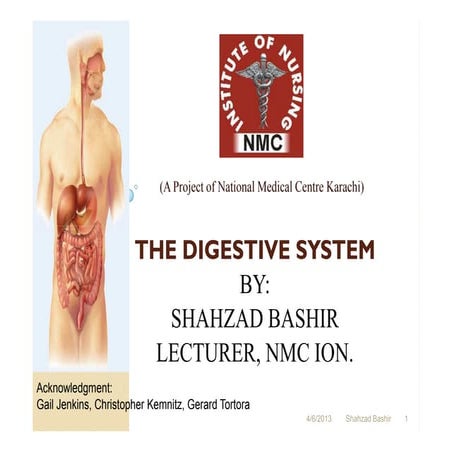 Final digestive system.