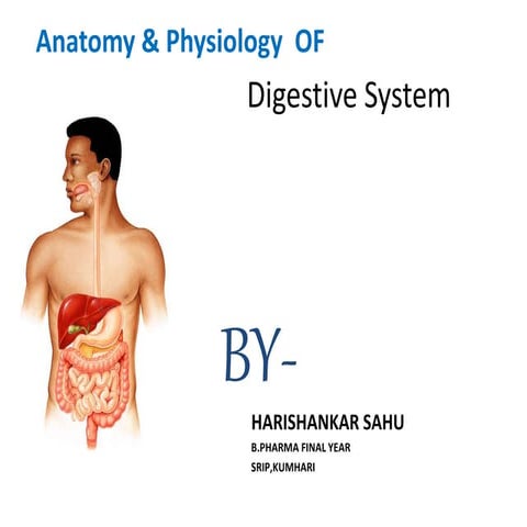 digestive system and disorders