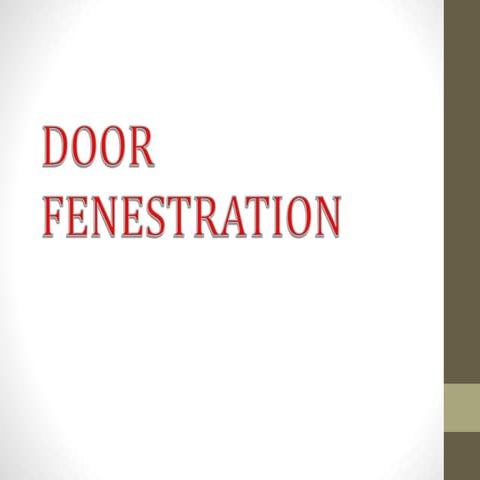 Door Fenestration