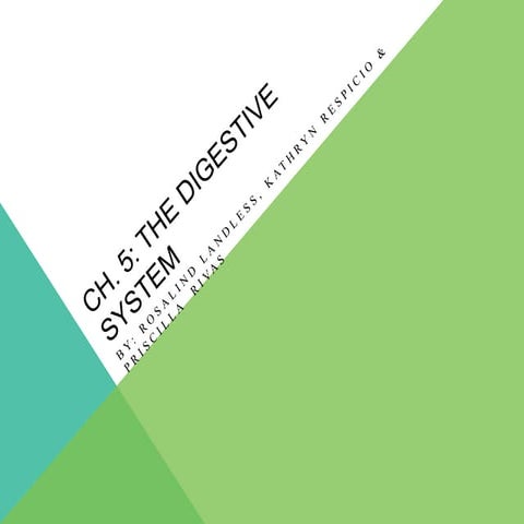 The Digestive System