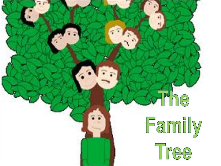 Final English Class 2