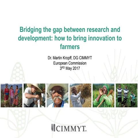 Bridging the gap between research and delopment at CIMMYT