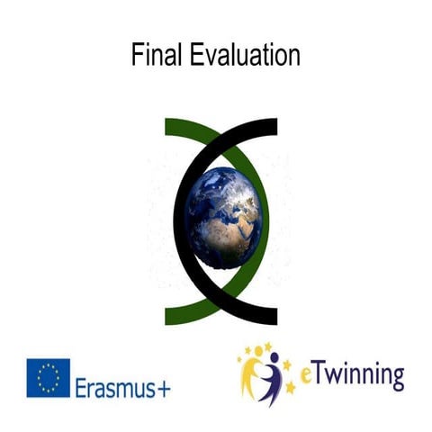 Final evaluation bricks