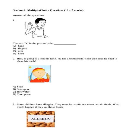 Exam Year 1- Science