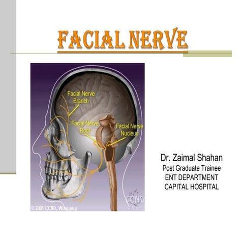 Final facial nerve palsy dr. zaimal