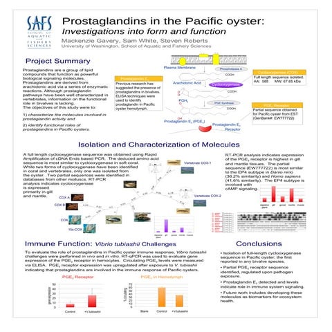 NSA Mar 2009: Prostaglandins in the Pacific oyster: Investigations into form and function