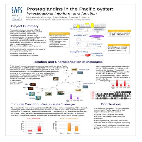 Prostaglandins in Pacific Oysters