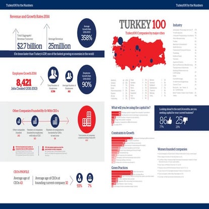 TEPAV Türkiye 100 Listesi
