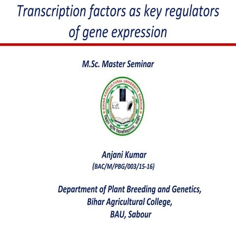 Transcription factors as key regulators of gene expression