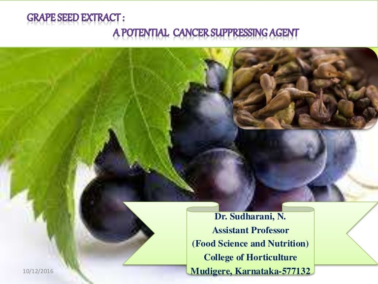 Grape Seed Extract A potential Cancer suppressing agent