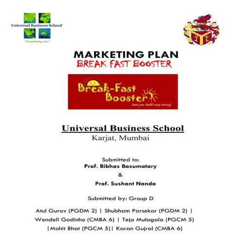 Marketing plan PDF report