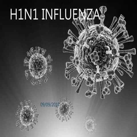 H1 N1