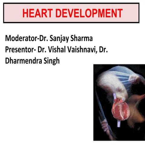 Final heart development.pptx